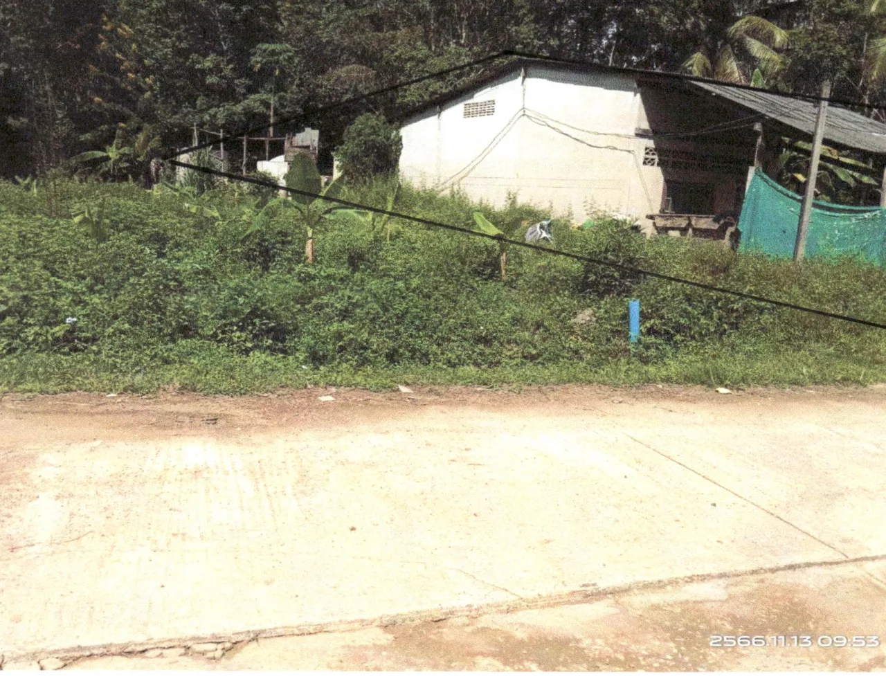 ขายทอดตลาด ที่ดินว่างเปล่า ต.พังลา อ.สะเดา จ.สงขลา