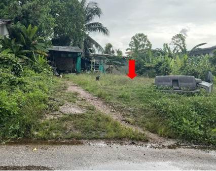 ขายทอดตลาด ที่ดินว่างเปล่า ต.สะเดา อ.สะเดา จ.สงขลา