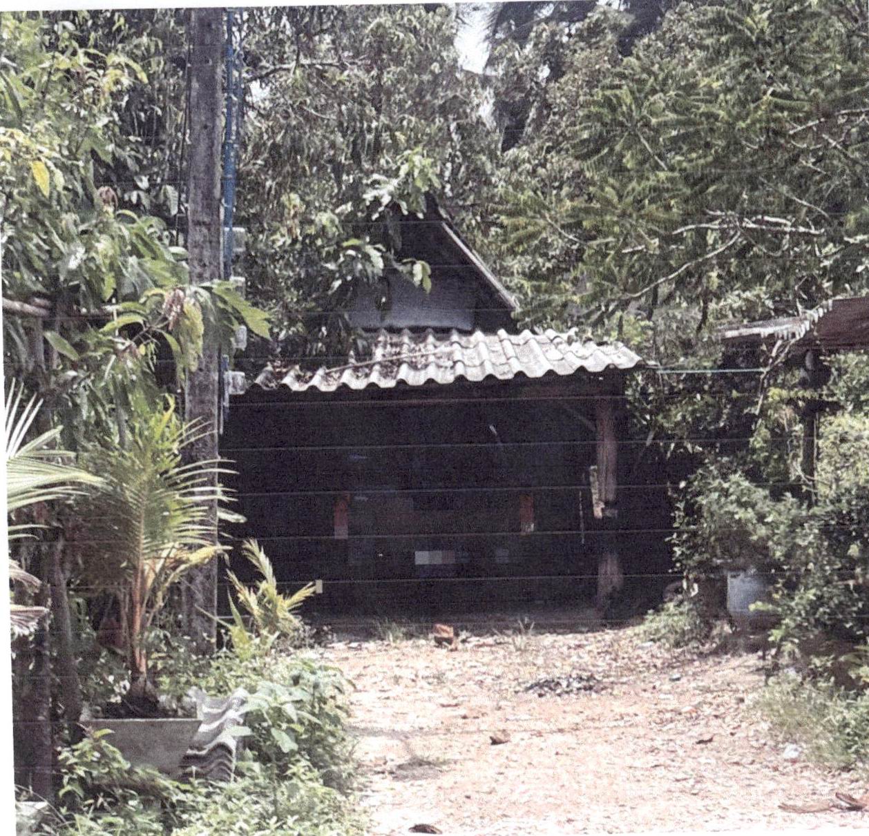 ขายทอดตลาด ที่ดินพร้อมสิ่งปลูกสร้าง ต.เขาแดง อ.สะบ้าย้อย จ.สงขลา