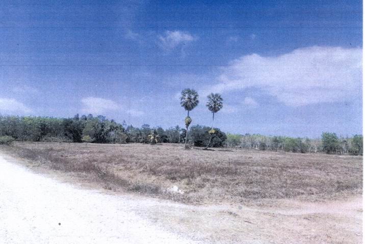 ขายทอดตลาด ที่ดินว่างเปล่า ต.ลำไพล อ.เทพา จ.สงขลา
