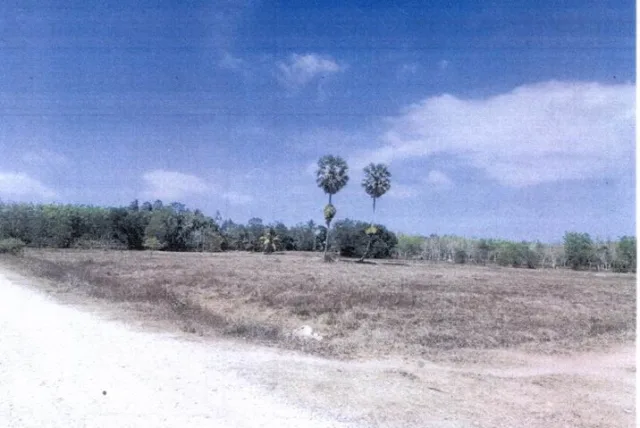 ขายทอดตลาด ที่ดินว่างเปล่า ต.ลำไพล อ.เทพา จ.สงขลา