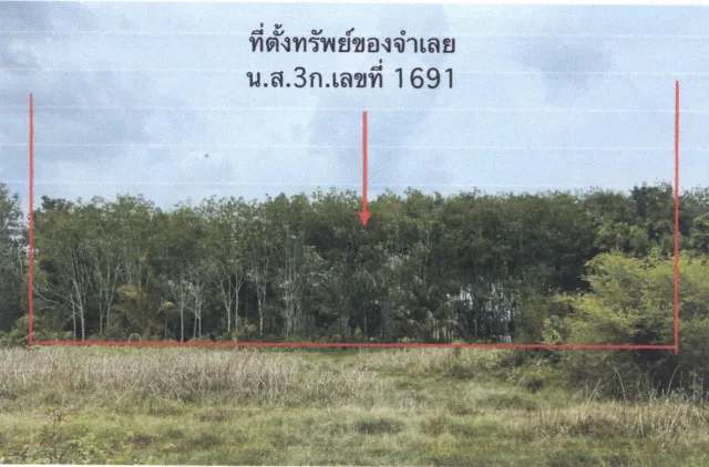 ขายทอดตลาด ที่ดินว่างเปล่า ต.น้ำขาว อ.จะนะ จ.สงขลา