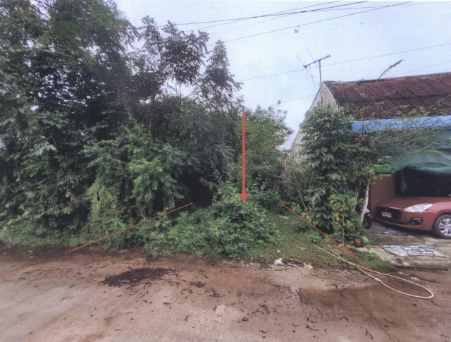 ขายทอดตลาด ที่ดินว่างเปล่า ต.พังลา อ.สะเดา จ.สงขลา