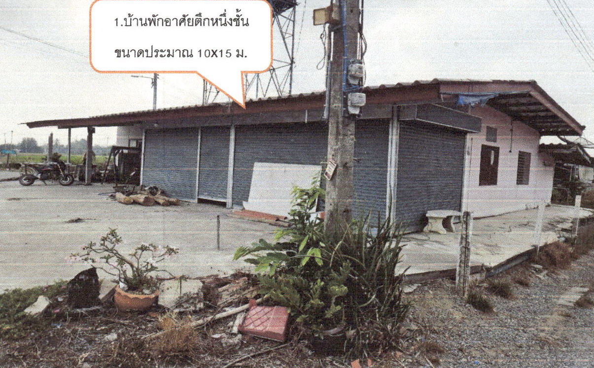 ขายทอดตลาด ที่ดินพร้อมสิ่งปลูกสร้าง ต.วังยาง อ.ศรีประจันต์ จ.สุพรรณบุรี