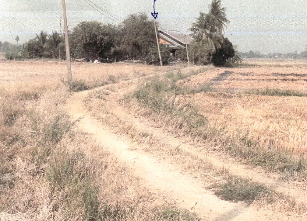 ขายทอดตลาด ที่ดินพร้อมสิ่งปลูกสร้าง ต.กระเสียว อ.สามชุก จ.สุพรรณบุรี