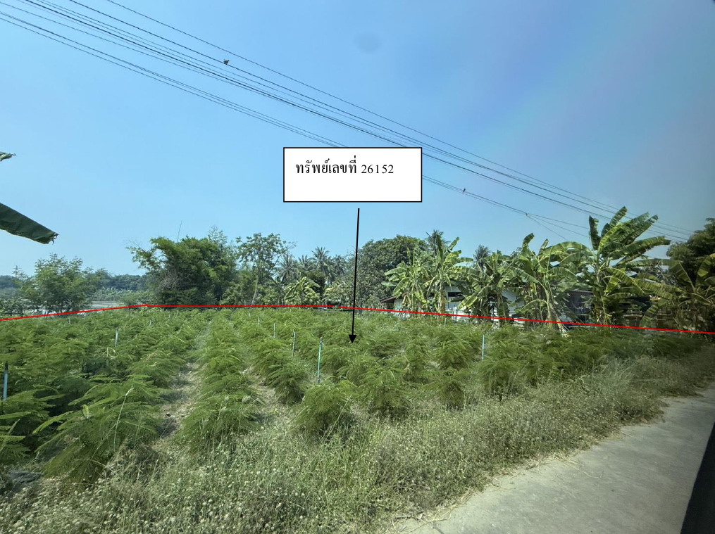 ขายทอดตลาด ที่ดินว่างเปล่า จ.สุพรรณบุรี