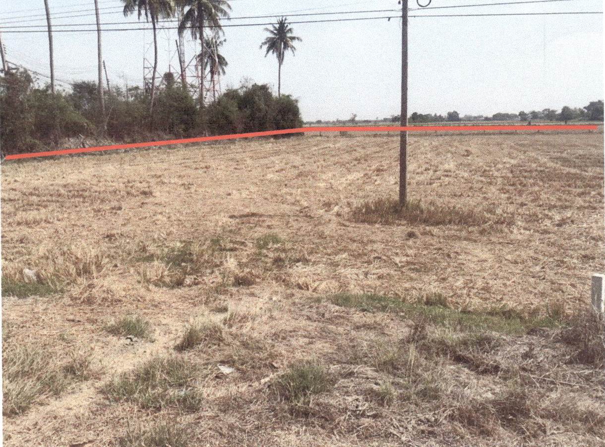ขายทอดตลาด ที่ดินว่างเปล่า จ.สุพรรณบุรี