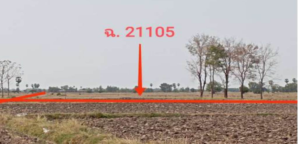 ขายทอดตลาด ที่ดินว่างเปล่า จ.สุพรรณบุรี