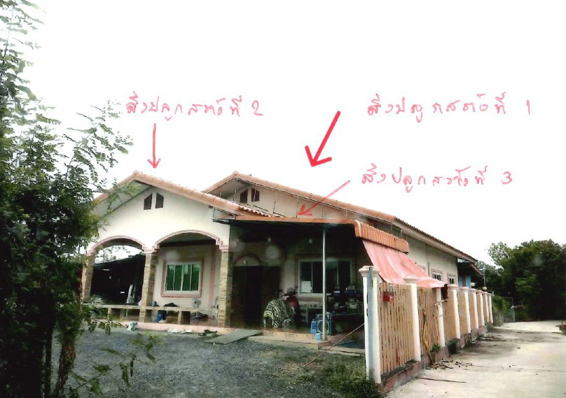 ขายทอดตลาด ที่ดินพร้อมสิ่งปลูกสร้าง ต.ศรีสำราญ อ.สองพี่น้อง จ.สุพรรณบุรี