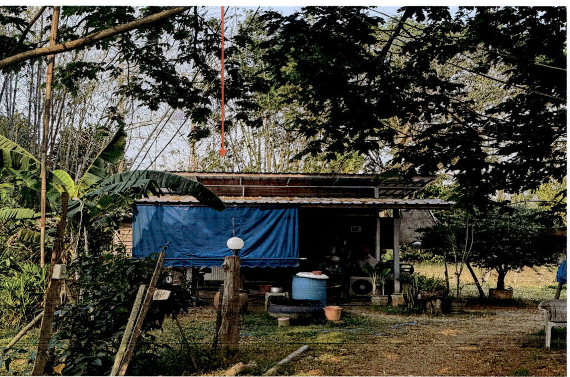 ขายทอดตลาด ที่ดินพร้อมสิ่งปลูกสร้าง ต.ท่าผา อ.เกาะคา จ.ลำปาง