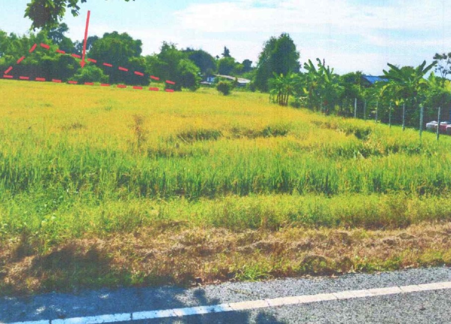 ขายทอดตลาด ที่ดินว่างเปล่า จ.สระบุรี