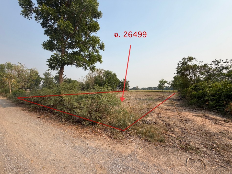 ขายทอดตลาด ที่ดินว่างเปล่า จ.สุพรรณบุรี