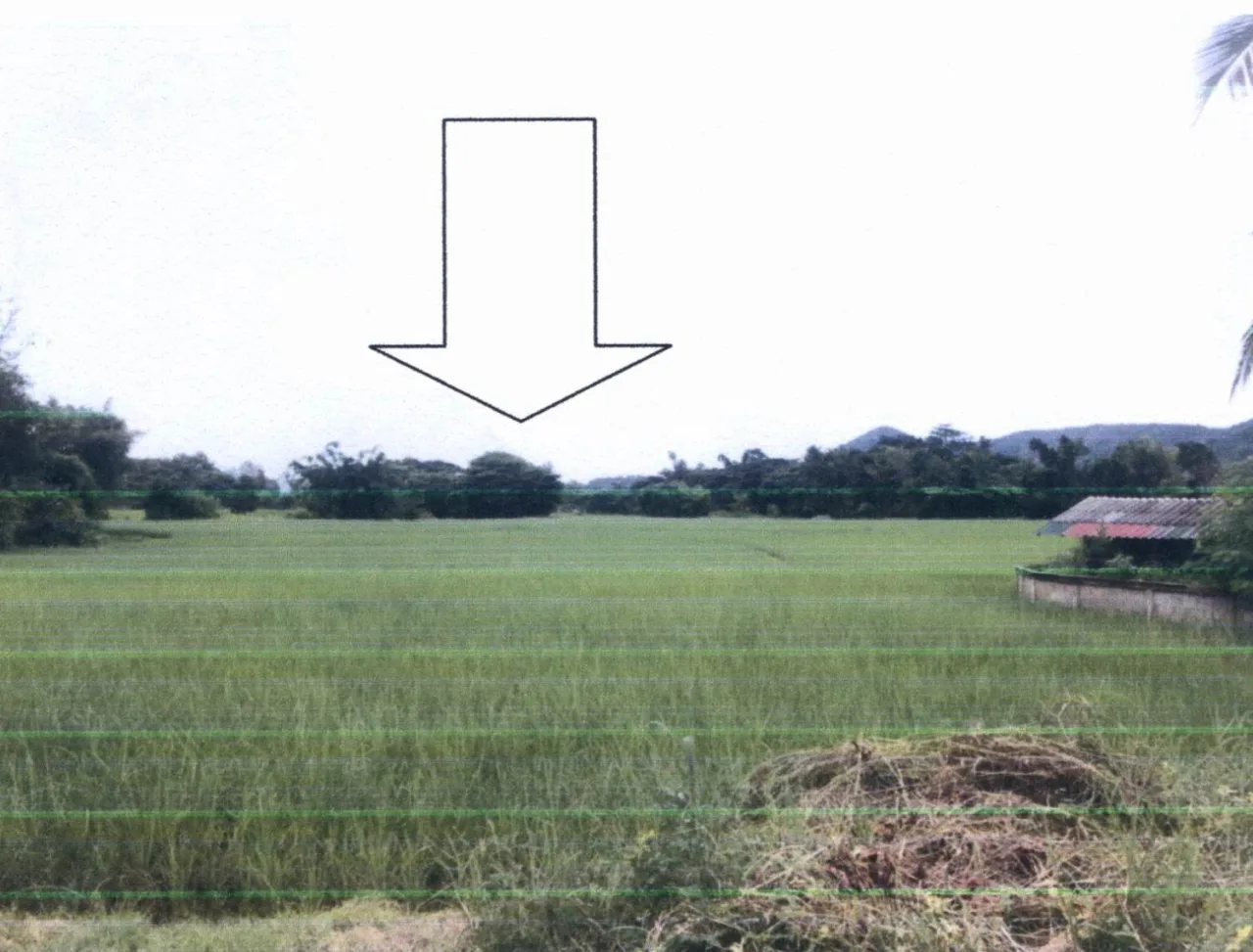 ขายทอดตลาด ที่ดินว่างเปล่า จ.ลำปาง