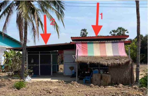 ขายทอดตลาด ที่ดินพร้อมสิ่งปลูกสร้าง ต.หนองขาว อ.ท่าม่วง จ.กาญจนบุรี