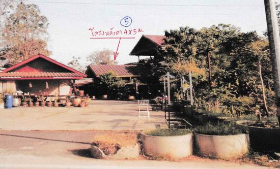 ขายทอดตลาด ที่ดินพร้อมสิ่งปลูกสร้าง ต.หนองขาว อ.ท่าม่วง จ.กาญจนบุรี