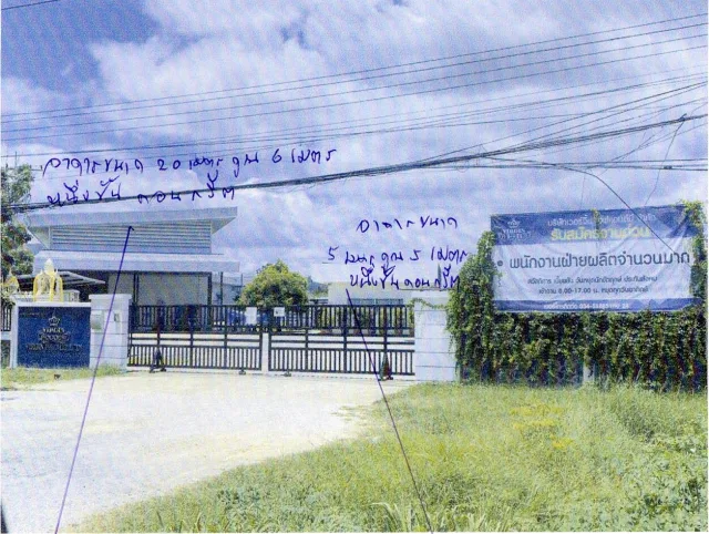 ขายทอดตลาด ที่ดินพร้อมสิ่งปลูกสร้าง ต.ปากแพรก อ.เมืองกาญจนบุรี จ.กาญจนบุรี