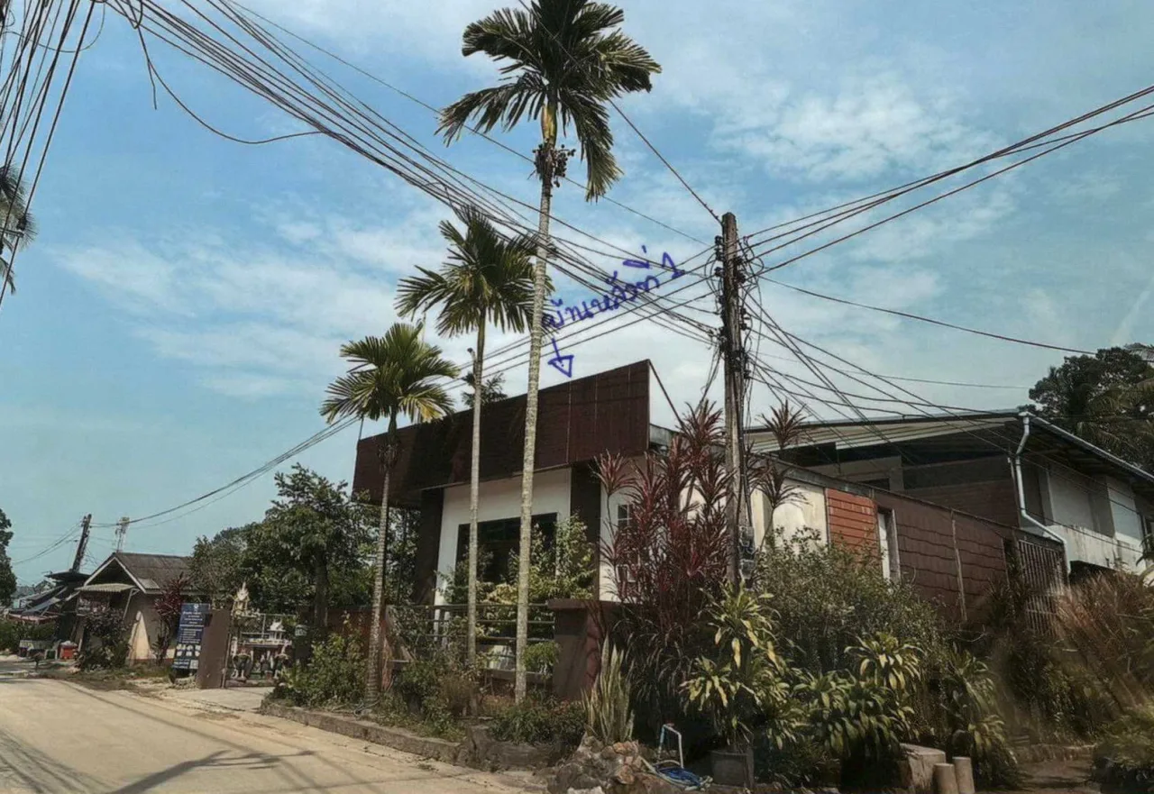 ขายทอดตลาด ที่ดินพร้อมสิ่งปลูกสร้าง ต.แม่น้ำ อ.เกาะสมุย จ.สุราษฎร์ธานี
