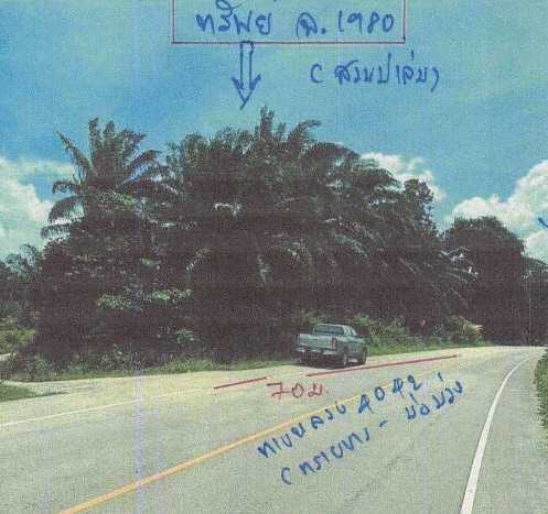 ขายทอดตลาด ที่ดินว่างเปล่า ต.ทรายขาว อ.คลองท่อม จ.กระบี่