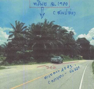 รูปทรัพย์ 1