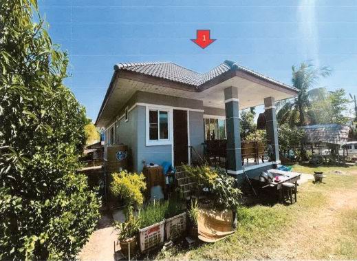 ขายทอดตลาด ที่ดินพร้อมสิ่งปลูกสร้าง ต.ฆ้องชัยพัฒนา อ.ฆ้องชัย จ.กาฬสินธุ์