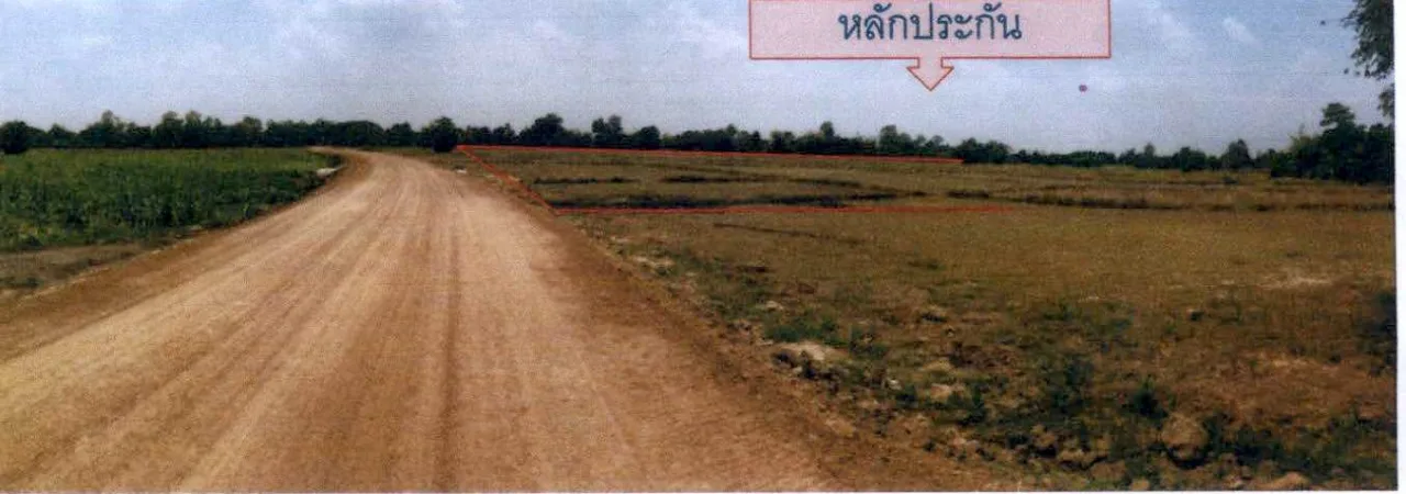 ขายทอดตลาด ที่ดินว่างเปล่า จ.กาฬสินธุ์