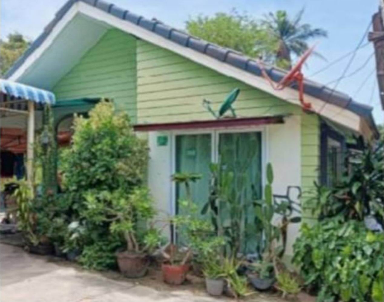 ขายทอดตลาด ที่ดินพร้อมสิ่งปลูกสร้าง ต.บ่อผุด อ.เกาะสมุย จ.สุราษฎร์ธานี