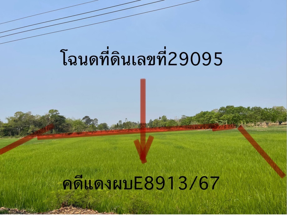 ขายทอดตลาด ที่ดินว่างเปล่า จ.กาฬสินธุ์