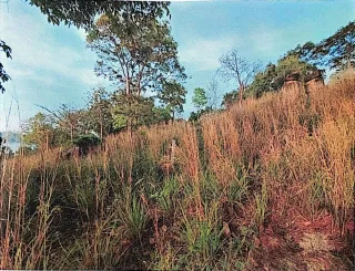 รูปทรัพย์ 3