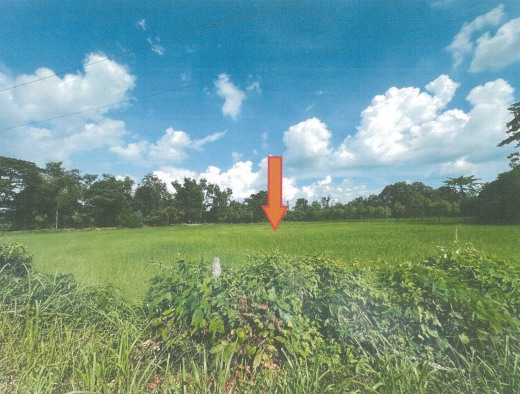 ขายทอดตลาด ที่ดินว่างเปล่า จ.กาฬสินธุ์