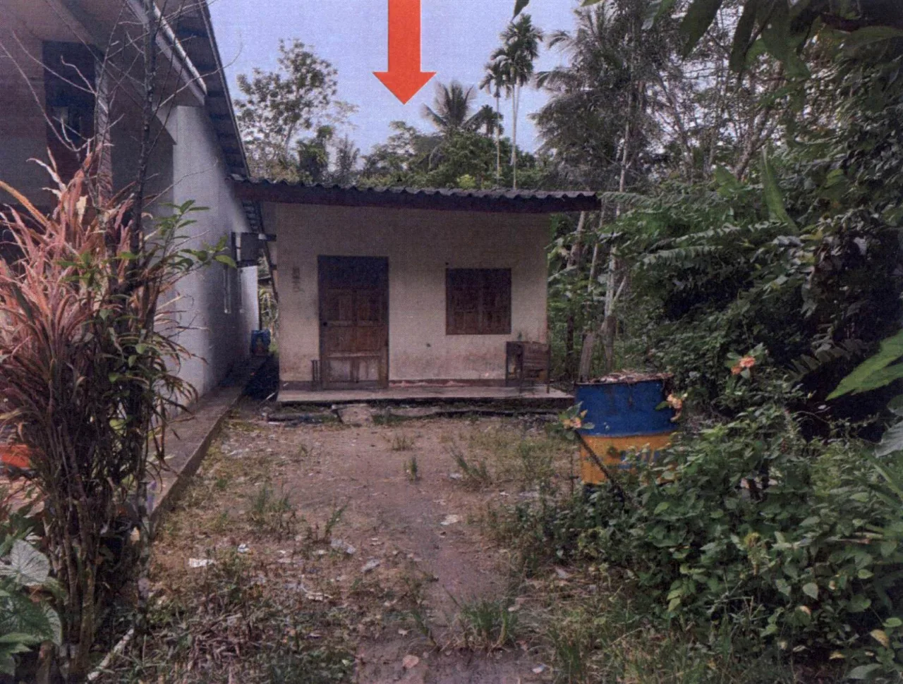 ขายทอดตลาด ที่ดินพร้อมสิ่งปลูกสร้าง ต.พรุพี อ.บ้านนาสาร จ.สุราษฎร์ธานี