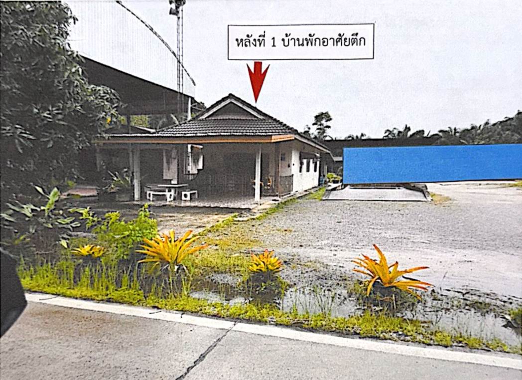 ขายทอดตลาด ที่ดินพร้อมสิ่งปลูกสร้าง ต.เวียงสระ อ.เวียงสระ จ.สุราษฎร์ธานี