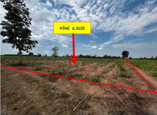 ขายทอดตลาด ที่ดินว่างเปล่า จ.กาฬสินธุ์
