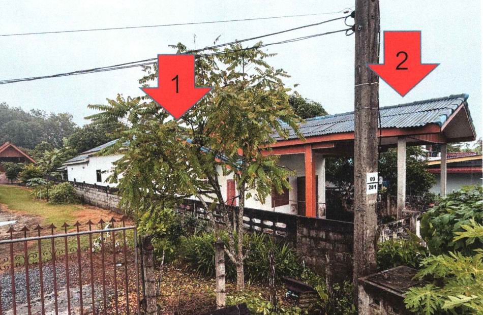 ขายทอดตลาด ที่ดินพร้อมสิ่งปลูกสร้าง ต.ทุ่งหลวง อ.เวียงสระ จ.สุราษฎร์ธานี