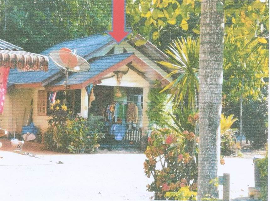 ขายทอดตลาด ที่ดินพร้อมสิ่งปลูกสร้าง ต.ทุ่งเตาใหม่ อ.บ้านนาสาร จ.สุราษฎร์ธานี