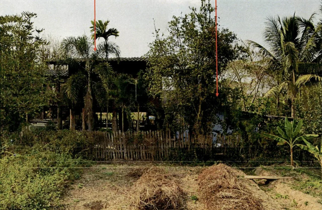 ขายทอดตลาด ที่ดินพร้อมสิ่งปลูกสร้าง ต.พิชัย อ.เมืองลำปาง จ.ลำปาง