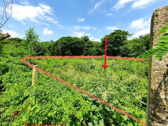 ขายทอดตลาด ที่ดินว่างเปล่า ต.ทับกวาง อ.แก่งคอย จ.สระบุรี