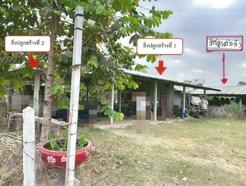 ขายทอดตลาด ที่ดินพร้อมสิ่งปลูกสร้าง ต.ศรีสมเด็จ อ.สมเด็จ จ.กาฬสินธุ์