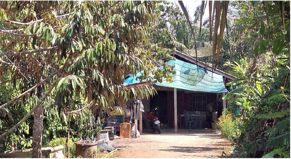 ขายทอดตลาด ที่ดินพร้อมสิ่งปลูกสร้าง ต.ท่าชี อ.บ้านนาสาร จ.สุราษฎร์ธานี