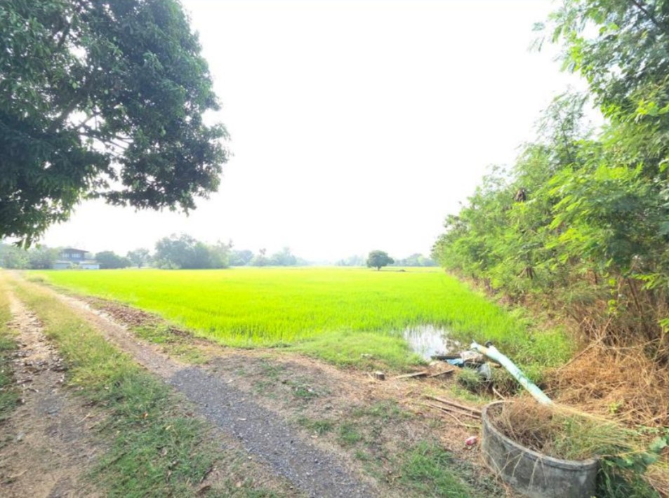 ขายทอดตลาด ที่ดินว่างเปล่า ต.หนองยาว อ.เมืองสระบุรี จ.สระบุรี