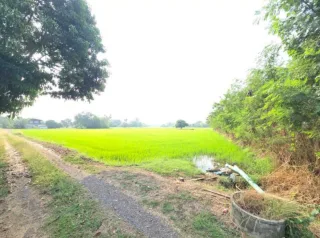 รูปทรัพย์ 1