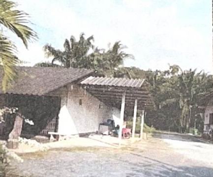 ขายทอดตลาด ที่ดินพร้อมสิ่งปลูกสร้าง ต.เวียงสระ อ.เวียงสระ จ.สุราษฎร์ธานี