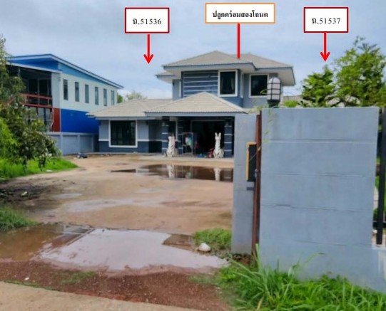 ขายทอดตลาด ที่ดินพร้อมสิ่งปลูกสร้าง ต.โพนทอง อ.เมืองกาฬสินธุ์ จ.กาฬสินธุ์