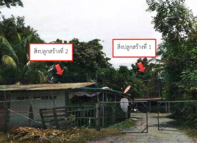 ขายทอดตลาด ที่ดินว่างเปล่า ต.หนองบัว อ.บ้านหมอ จ.สระบุรี