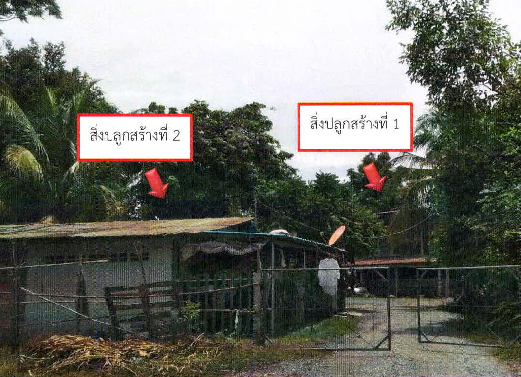 ขายทอดตลาด ที่ดินพร้อมสิ่งปลูกสร้าง ต.หนองบัว อ.บ้านหมอ จ.สระบุรี