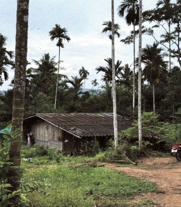 ขายทอดตลาด ที่ดินพร้อมสิ่งปลูกสร้าง ต.ลำพูน อ.บ้านนาสาร จ.สุราษฎร์ธานี