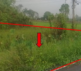 ขายทอดตลาด ที่ดินว่างเปล่า ต.หนองจิก อ.หนองแค จ.สระบุรี