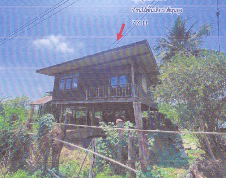 ขายทอดตลาด ที่ดินพร้อมสิ่งปลูกสร้าง ต.บ้านกอก อ.จัตุรัส จ.ชัยภูมิ