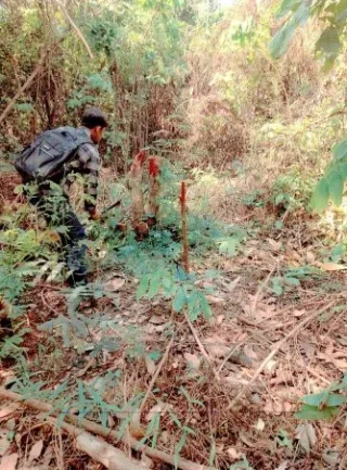 รูปทรัพย์ 3