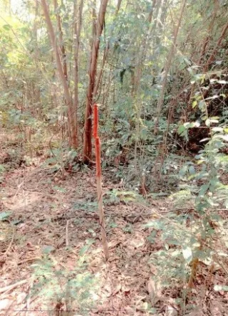 รูปทรัพย์ 5
