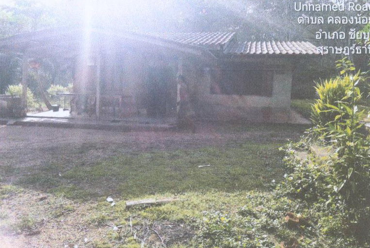 ขายทอดตลาด ที่ดินพร้อมสิ่งปลูกสร้าง ต.คลองน้อย อ.ชัยบุรี จ.สุราษฎร์ธานี